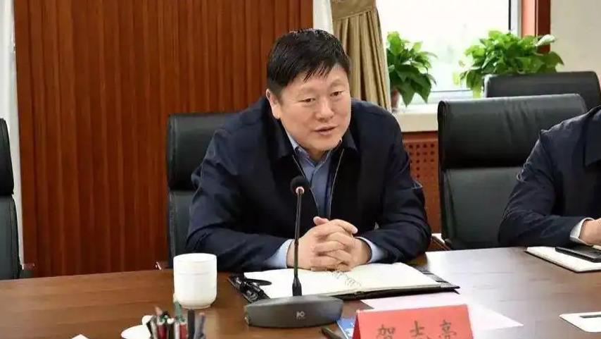 贺志亮：一名跨领域基层治理干部的成长与警示