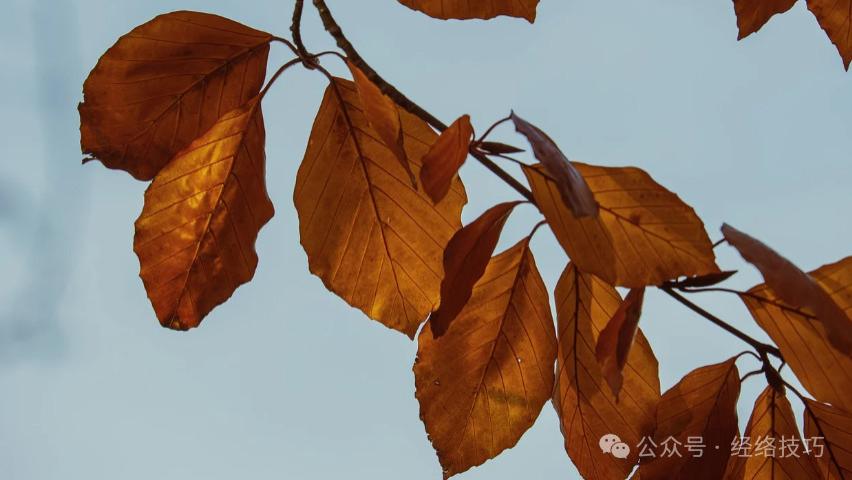 冬藏先养肝，肝气顺便藏得进，这3个穴位，平时即使碰一碰，也是对肝的一种养护