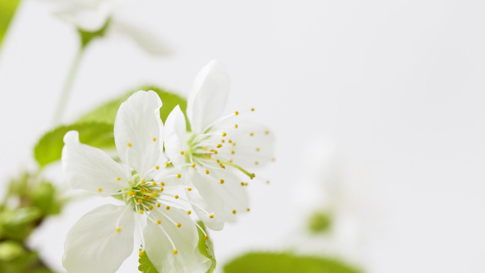 汪缘堂：八字本质就是看你出生那一刻，天地给你的气是怎么样的