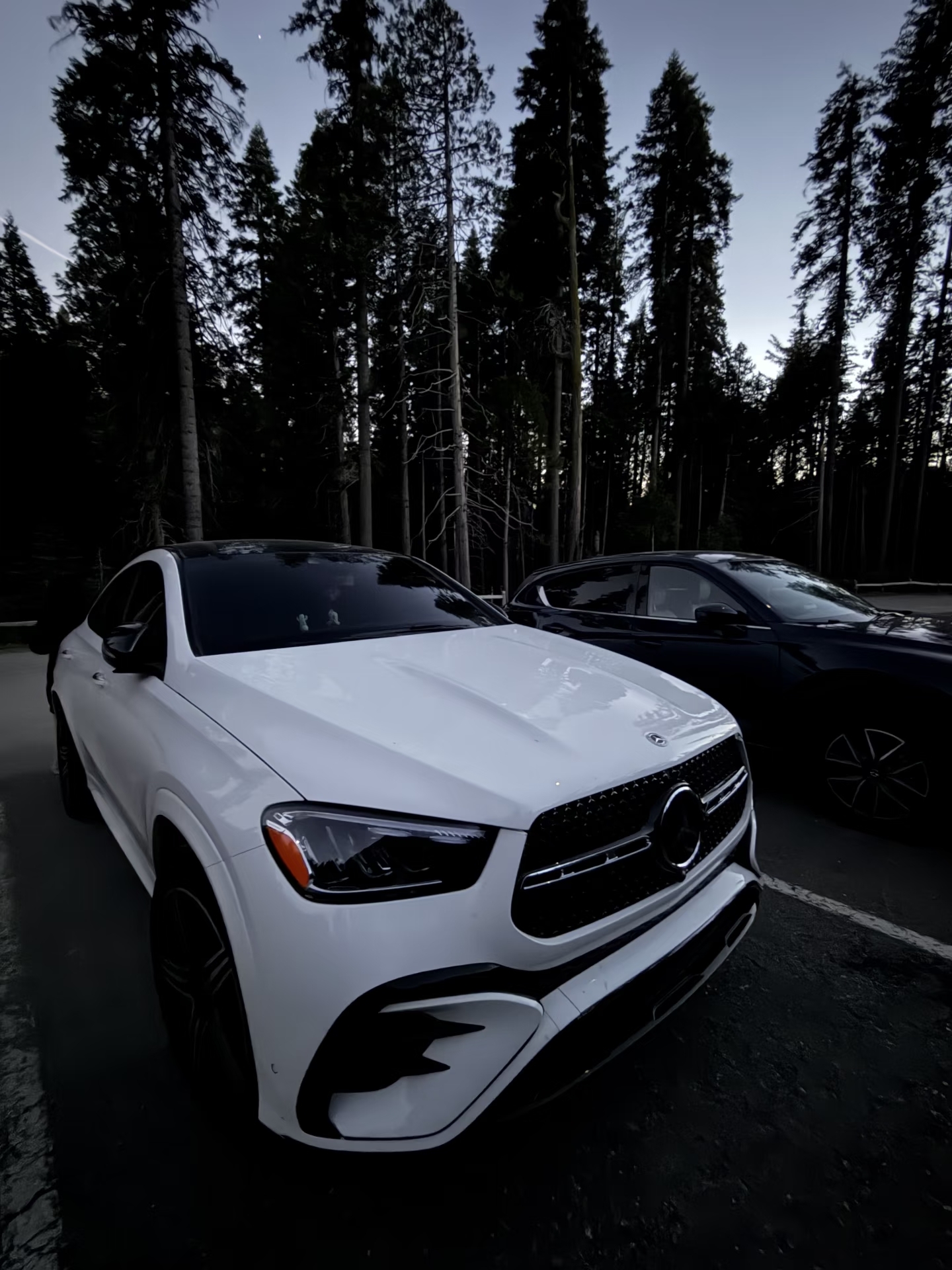 二手奔驰GLE450别乱碰！48V电池是隐患，查清这3点再抄底