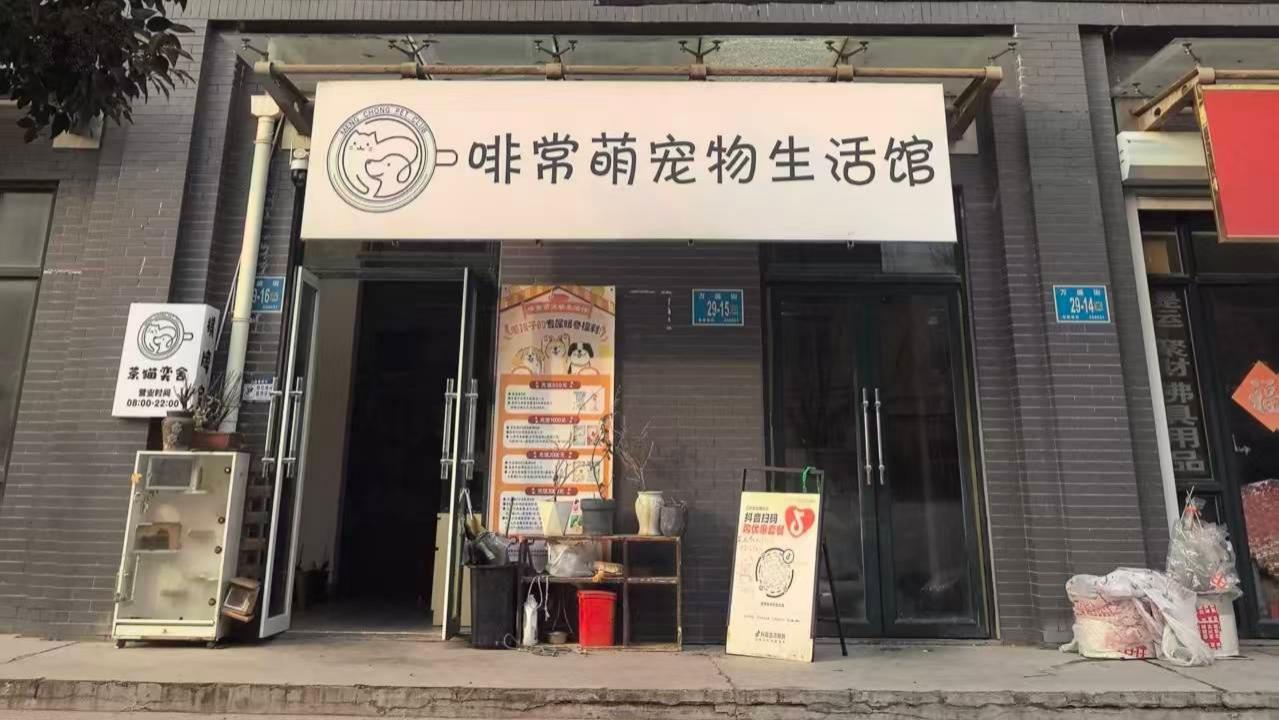 在济南，宠物药浴护理去哪？天桥区啡常萌用专业产品解决皮肤问题