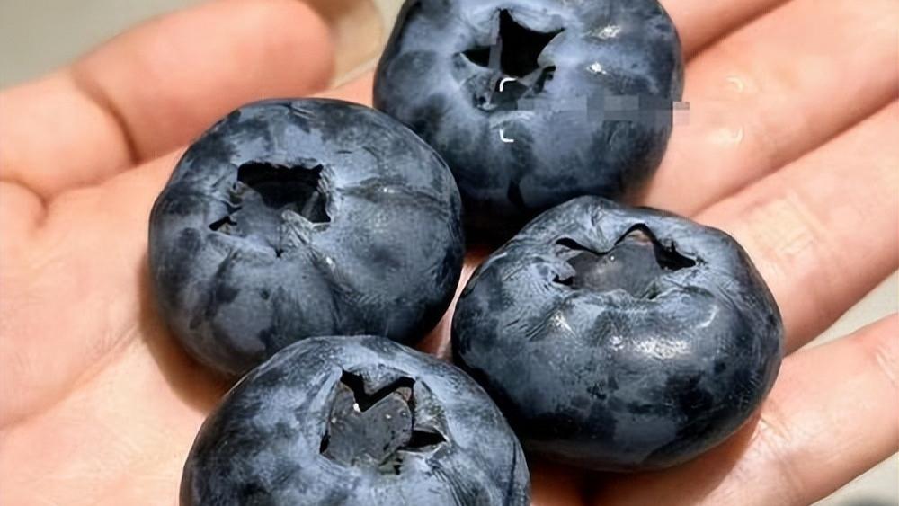 科普中国发文：不建议买超大蓝莓