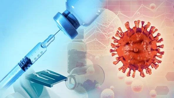 靶向肽发现技术：精准医疗时代的分子识别与药物研发利器