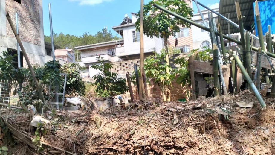 村民老宅竹子被砍，土地权属争议引多方调解