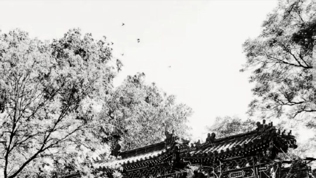 张生礼 诗文《神秘的福佑寺》