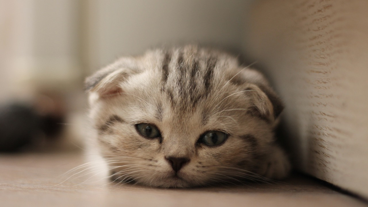 每天通勤2小时，这工作到底要不要坚持？