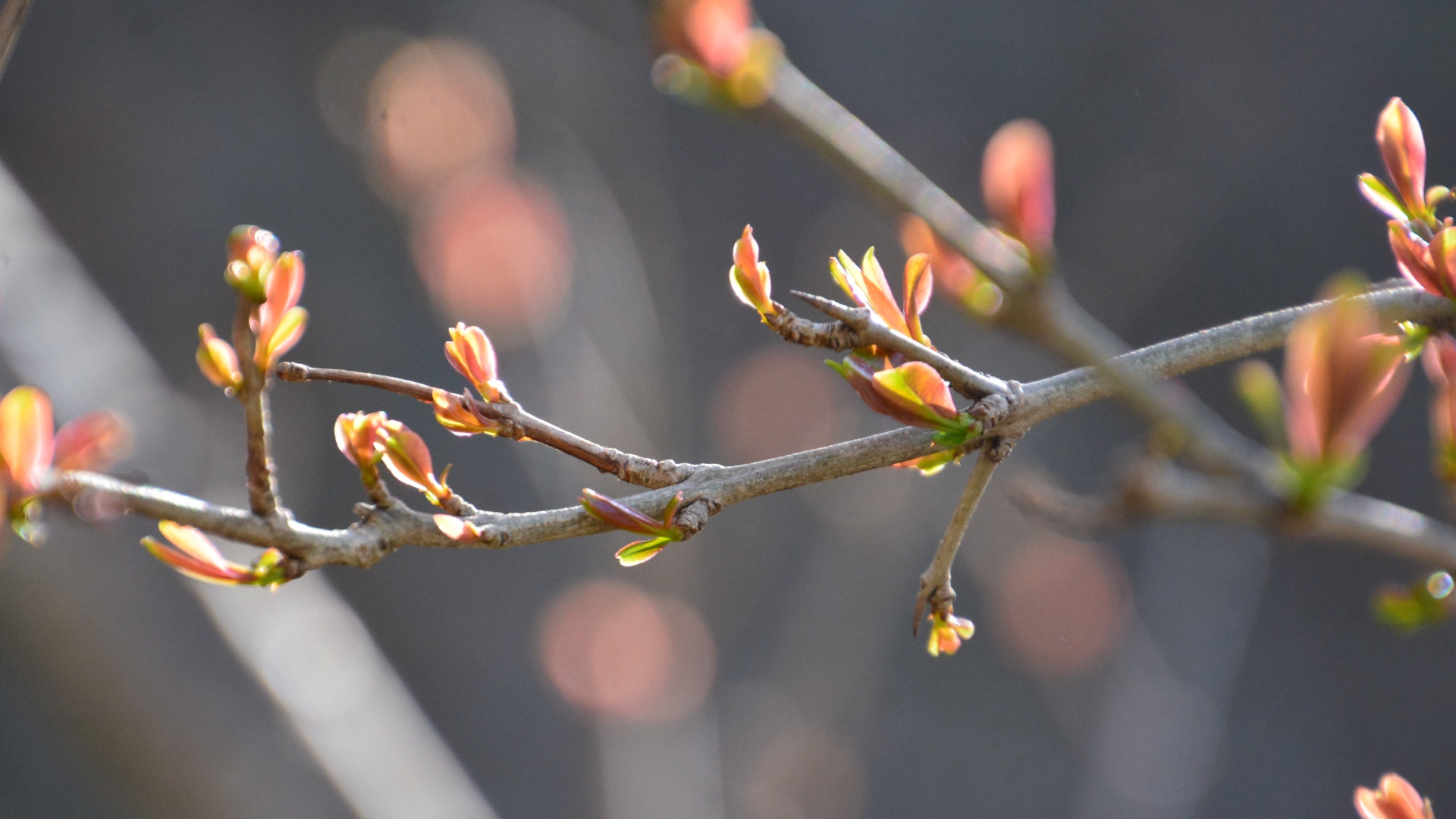 暮春这股“气”最易堵！古书里藏着个“开心穴”，睡前揉一揉，心里顺了，觉也香了
