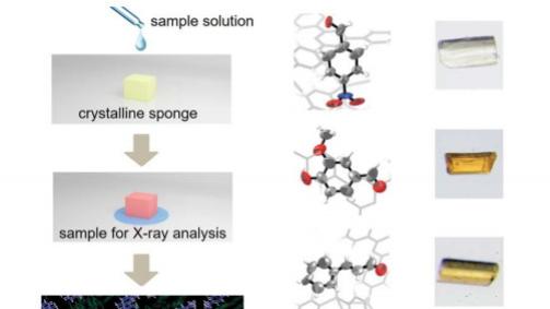 Nat. Prod. Rep. | 四大前沿单晶培养技术综述，突破天然产物结晶困境