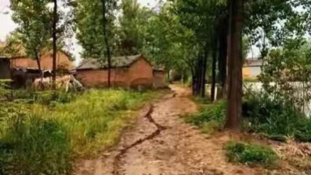 《母亲之爱》系列散文之十五（跋）：情寄寸笺，母爱无疆