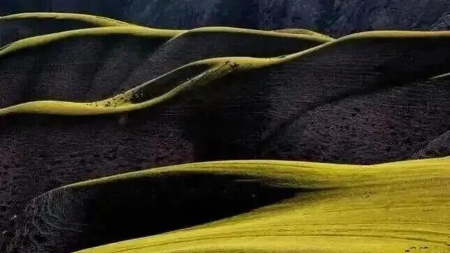 谷雨到立夏，“肝血”格外不经用！一个动作滚一滚，后背松开大半，眼睛也跟着润了