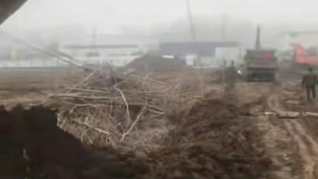 曲阜防山镇耕地被指以租代征 村民盼依法保障土地权益