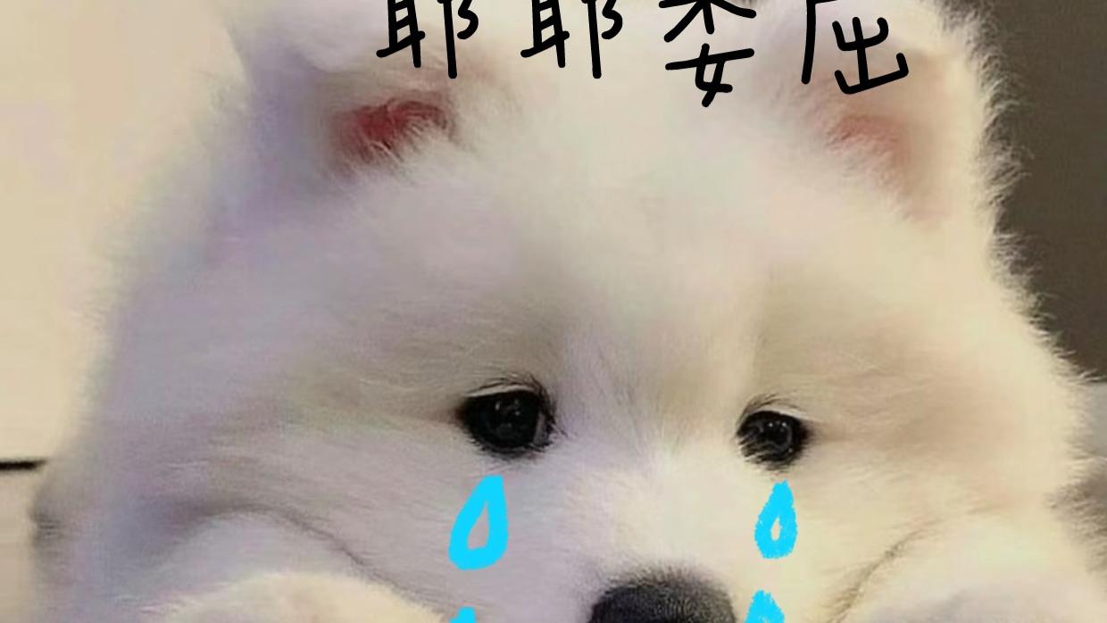 满心欢喜嫁给你，满心真诚对待你，却换来一身委屈……