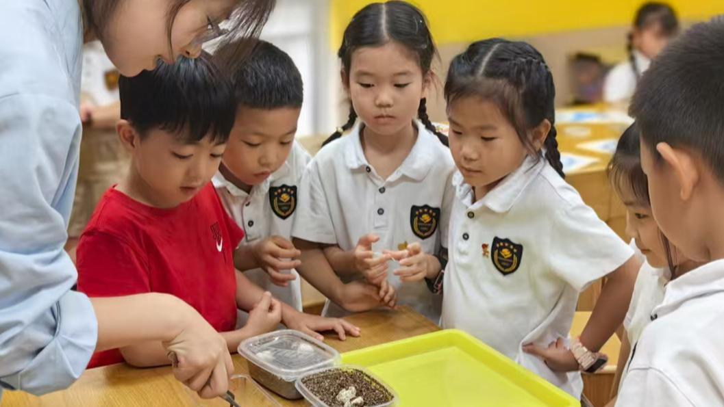 2026年创业方向观察：教培行业的新机会