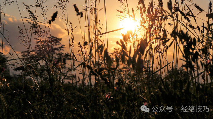 小腿内有个“地黄丸”，早晚按3分钟，既护先天肾，又帮后天脾，还通肝气！
