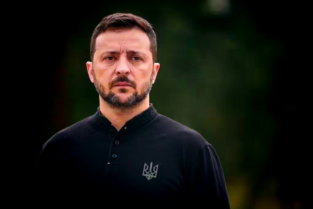 泽连斯基松口了？跟俄罗斯的谈判，快了！

泽连斯基19日晚上在网上说了点新情况。