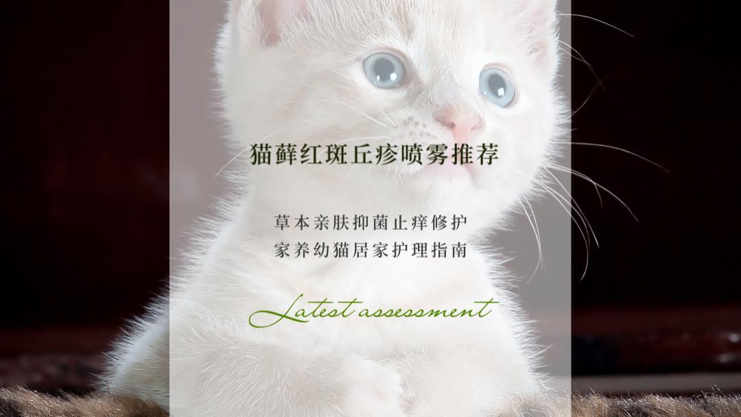 2026猫藓红斑丘疹喷雾推荐：草本亲肤抑菌止痒修护 家养幼猫居家护理指南