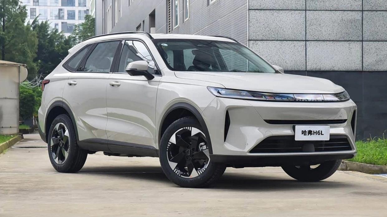 哈弗H6L的空间和智能配置是其优势，适合注重家庭实用性的朋友