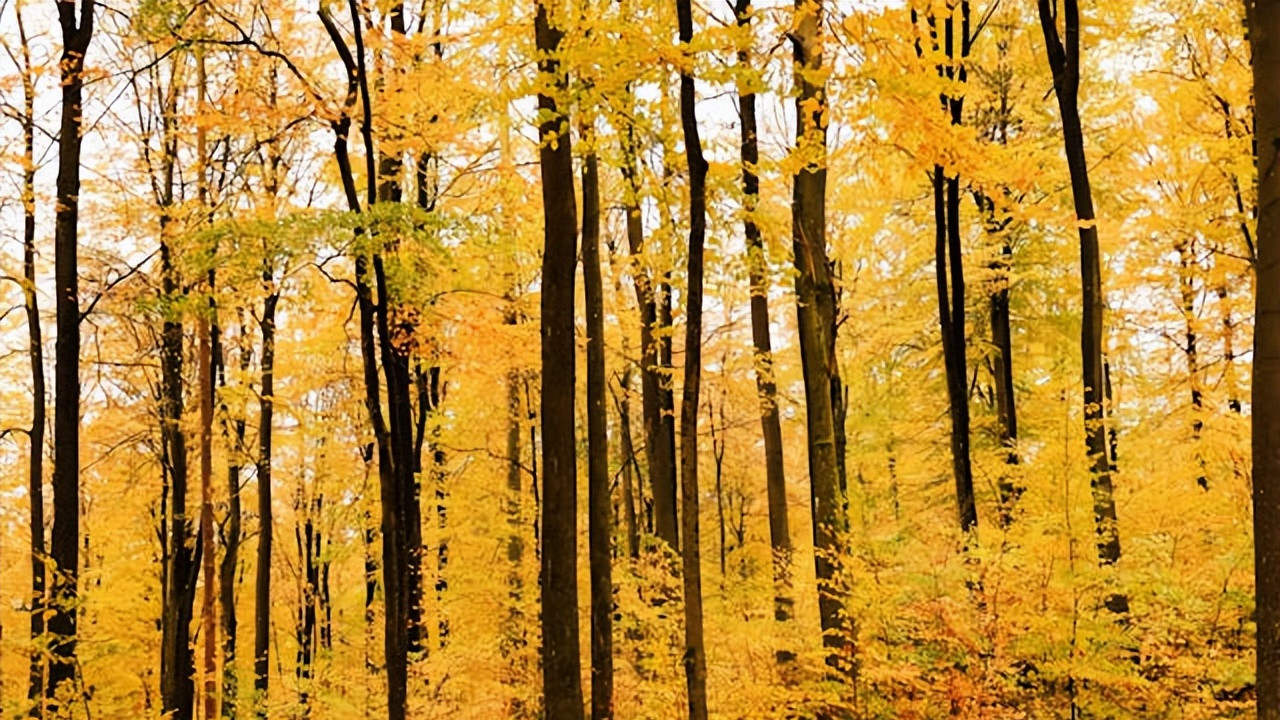 安遇情感挽回效果好吗：好的聊天才能推动复合