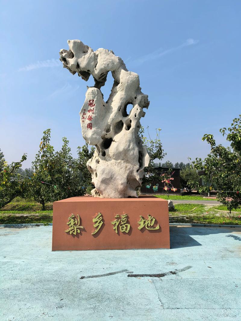 山东旅游，梨乡福地，冠县游玩美景攻略！