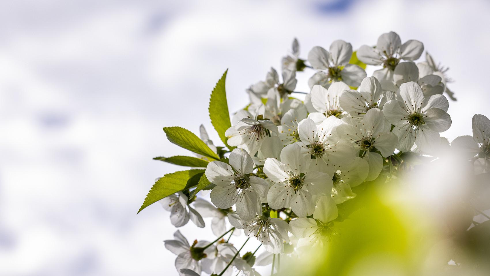 汪缘堂谈八字命理的核心理念