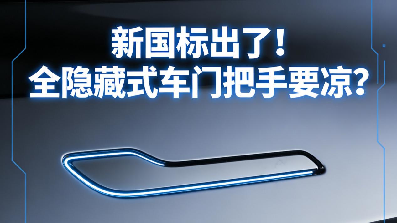 新国标出了！全隐藏式车门把手要凉？