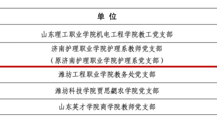 喜报！学院护理系教师党支部顺利通过第四批“全国党建工作样板支部”建设单位验收