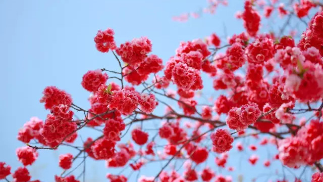 聚散不由人，得失天注定：真正通透的人，都懂得“放手”的智慧