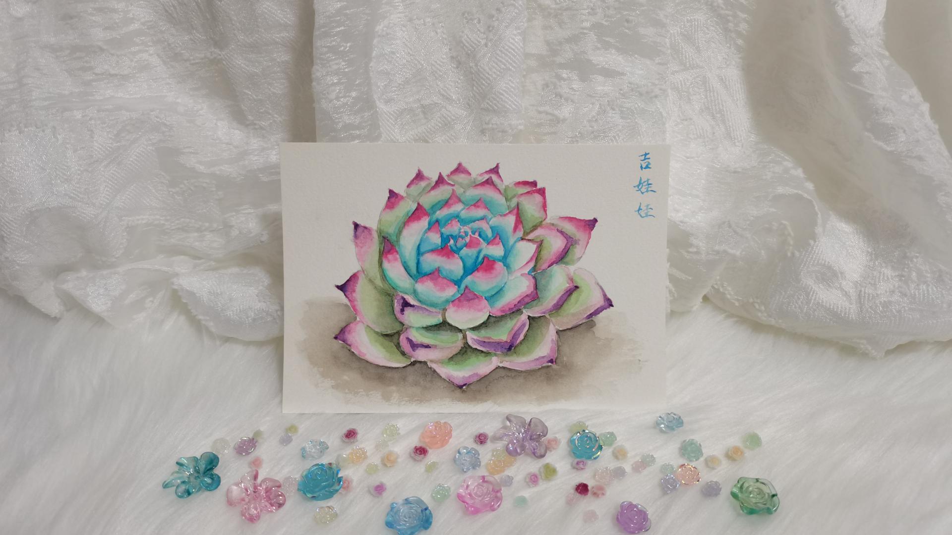 09 水彩冷色吉娃莲（果花甘08）