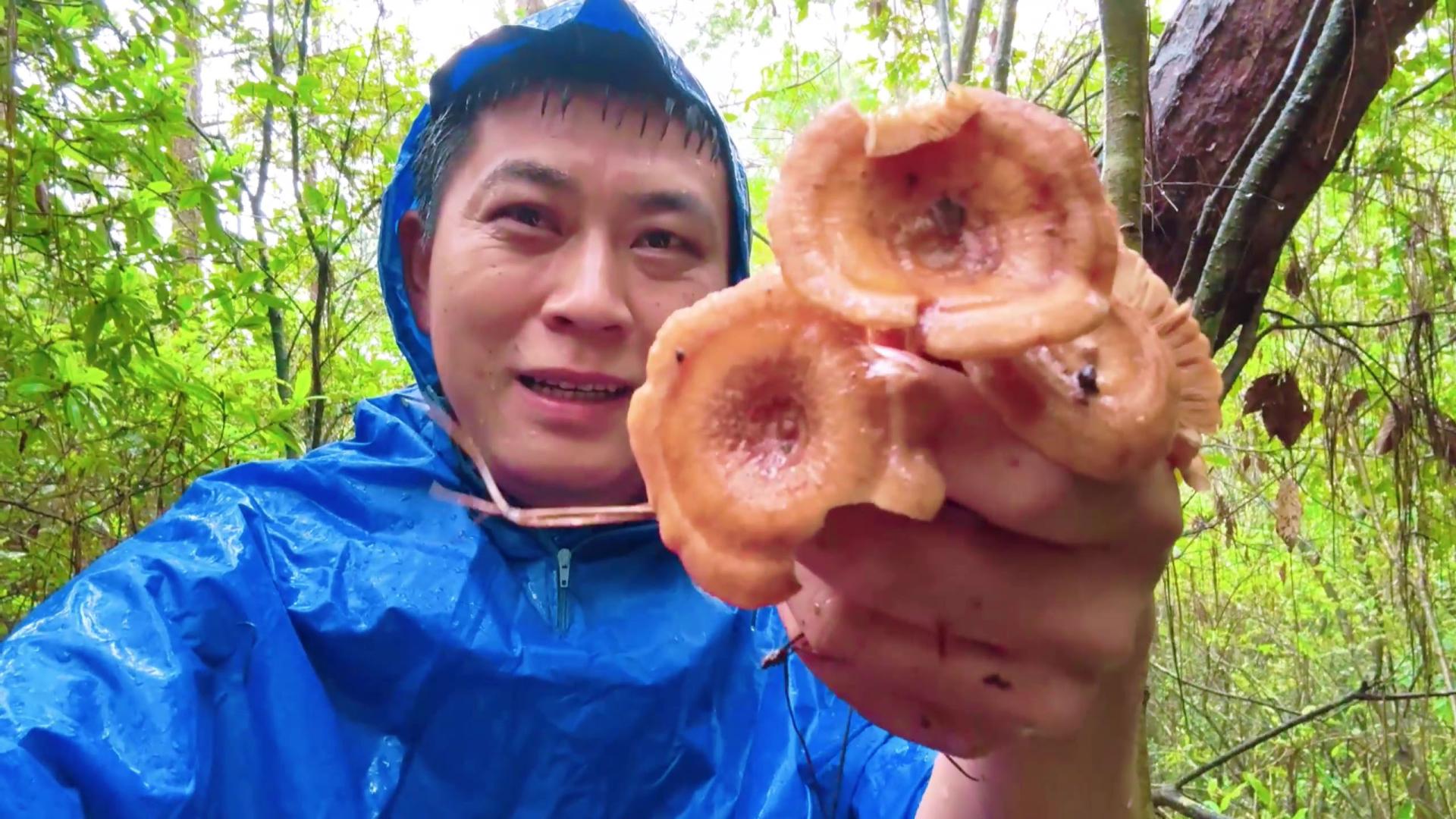 夫妻冒雨深山捡菌，扒开草丛高兴坏了，一朵接一朵拔到手抽筋