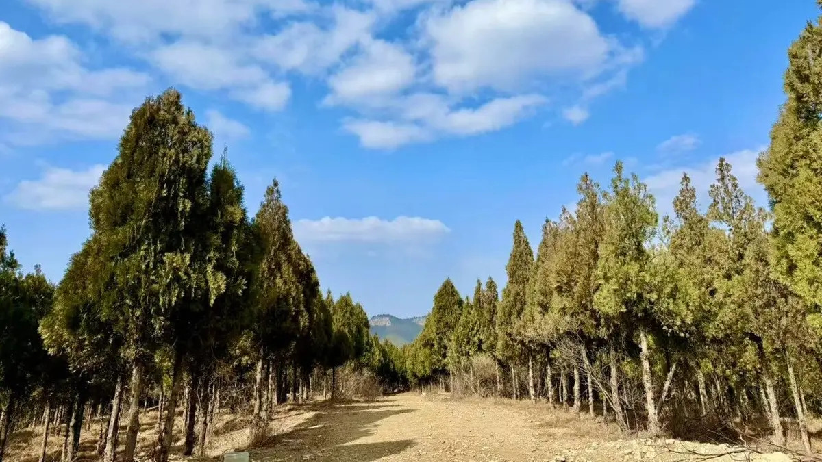 生活，才是最好的课堂 | 济语