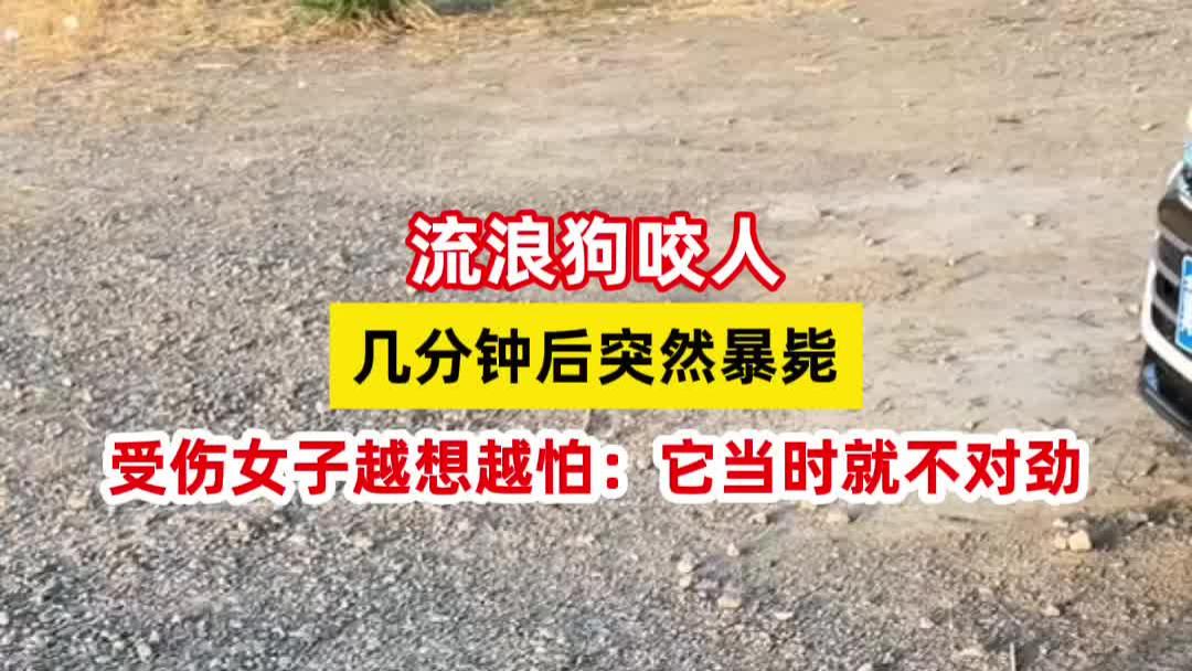 流浪狗咬人几分钟后突然暴毙，受伤女子越想越怕：它当时就不对劲