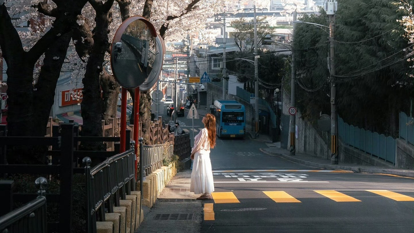 每周推荐 | foto_ycy 春