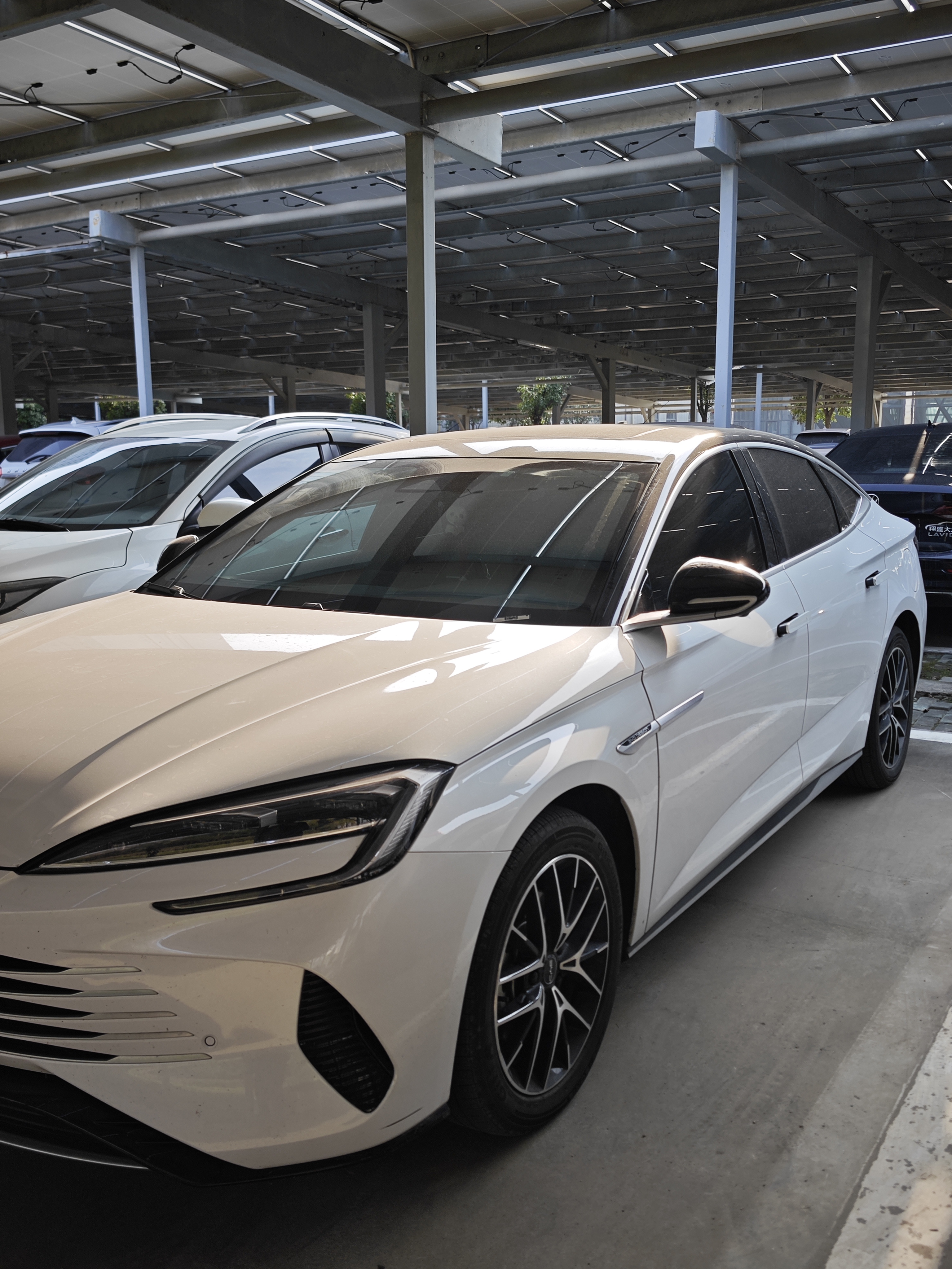 我是24年4月份买的比亚迪海豹dmi，买比亚迪的一个主要原因就是用户体量够大，随