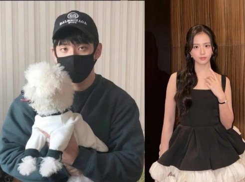 据韩媒报道，金智秀的亲哥哥金俊亨（김준형，音译）去年 5 月被爆涉嫌非法偷拍性爱