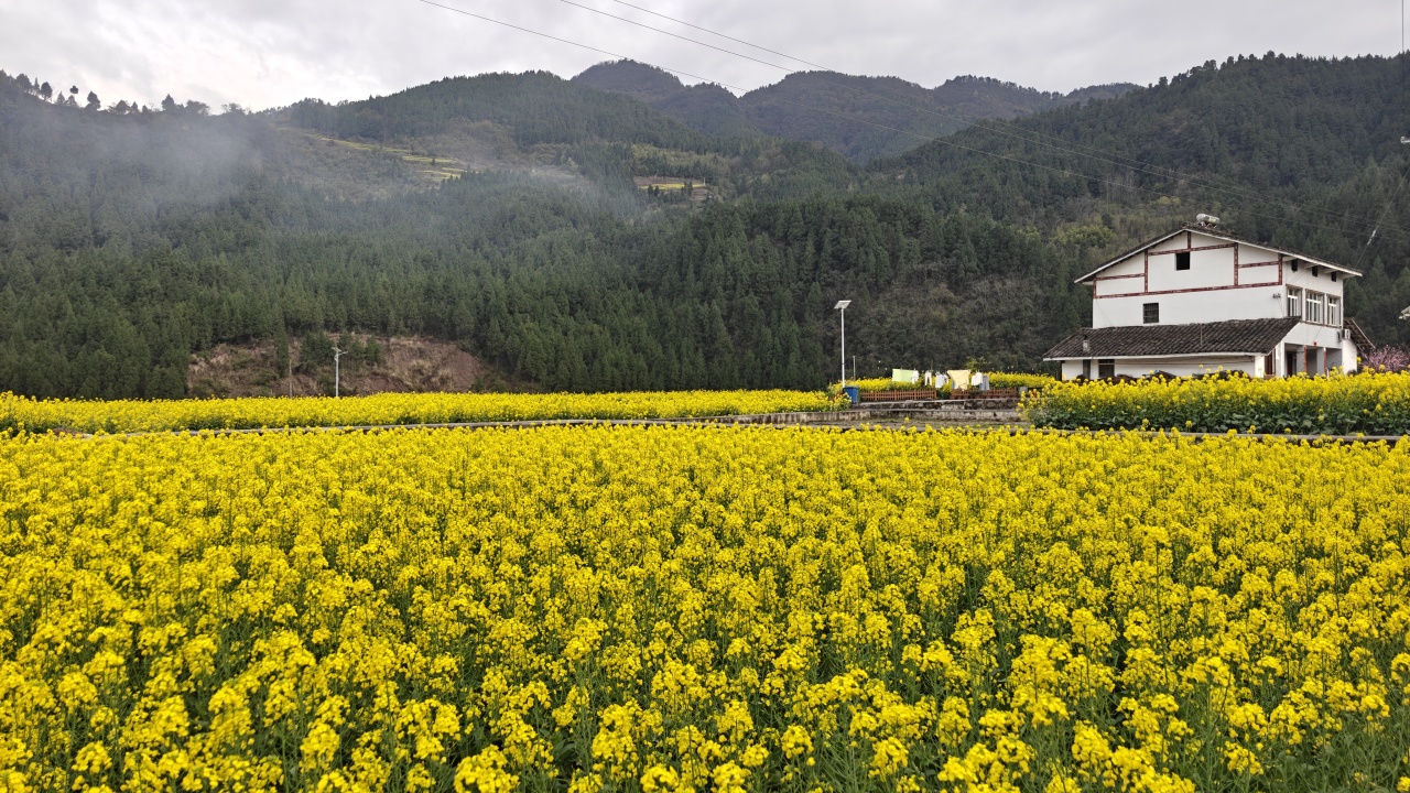 文曲星诞辰，我想起范家小学张校长