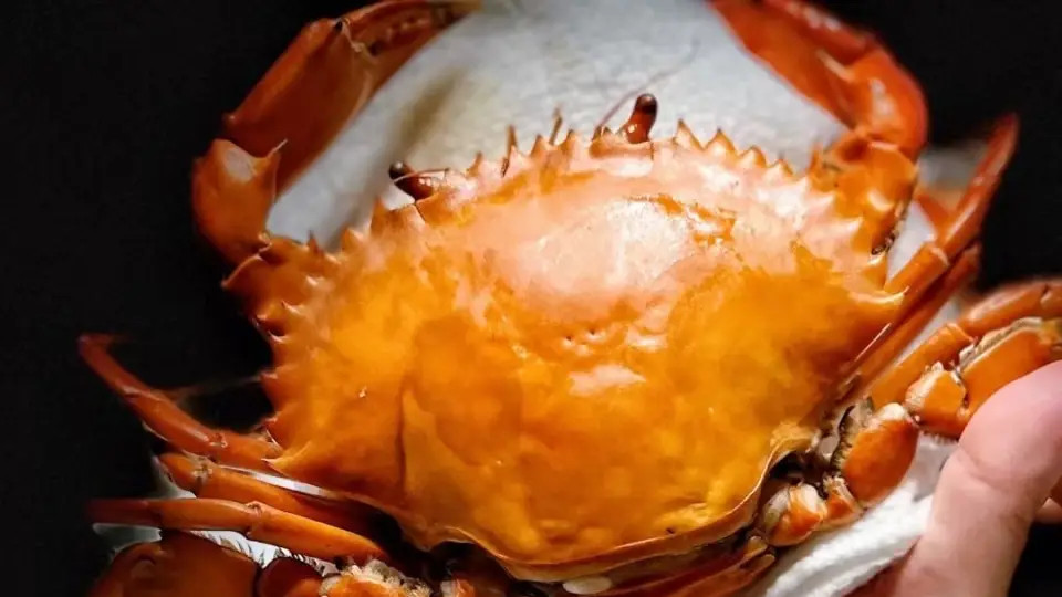 在家复刻鲜爽湘味：紫苏六月黄焖年糕