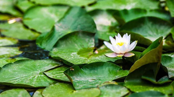 如何写好课题申报书的选题依据？关键在这两点