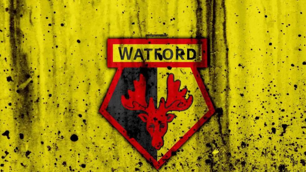 2月27号英冠联赛布里斯托城VS沃特福德