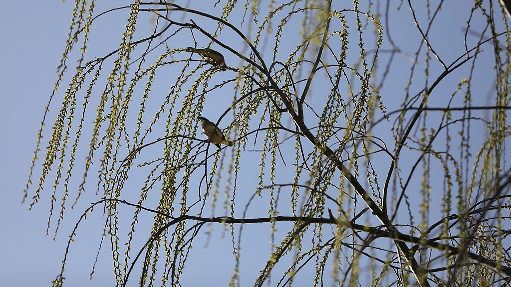慢慢来，相信时间的力量