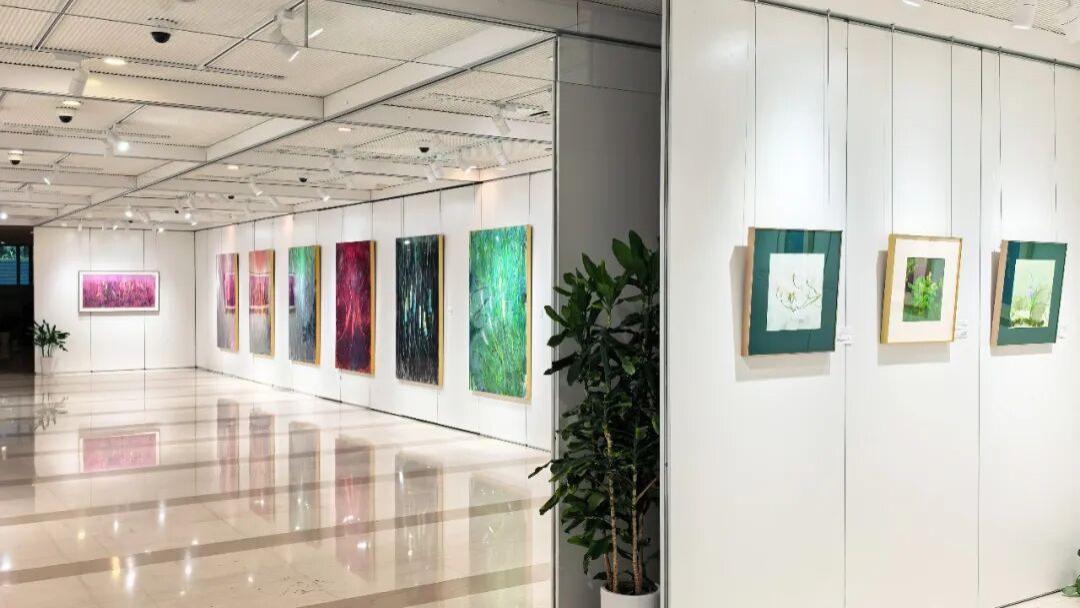 浦东图书馆 “东方本草，华夏色彩 -- 丁融本草绘画作品展” 延展至8月14日