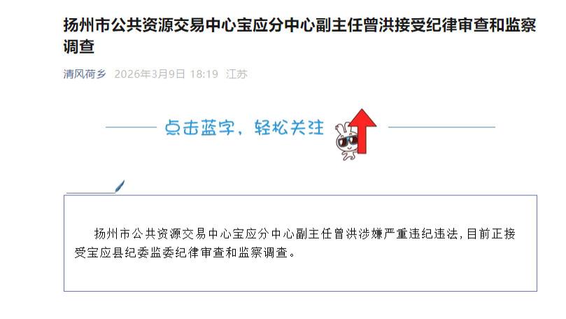 江苏省扬州市公共资源交易中心宝应分中心副主任曾洪被查，赋史记·曾洪列传