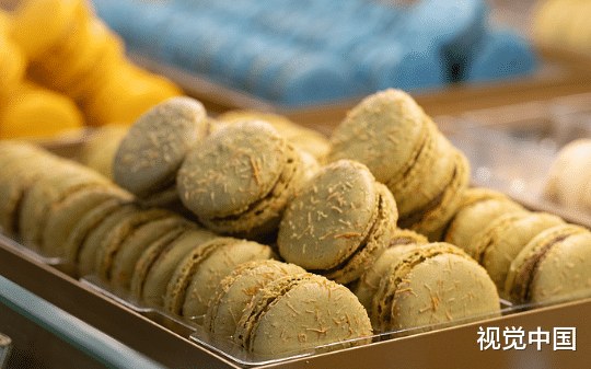 全家人都更爱假千金把我赶出了家门