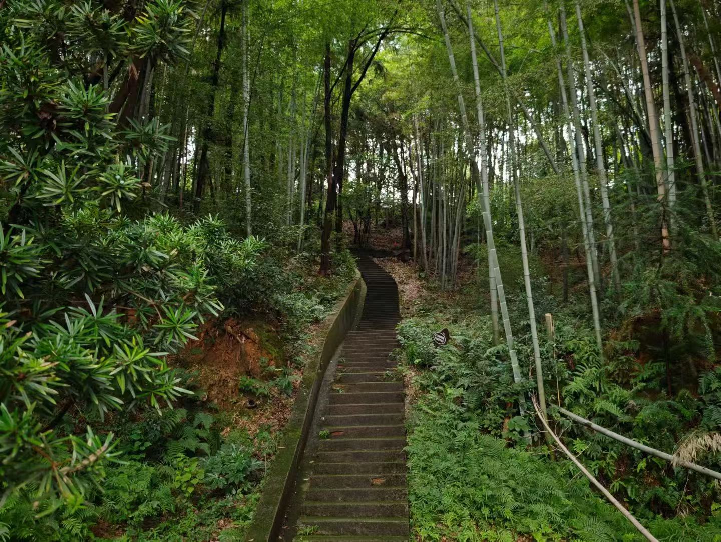 长沙旅游，园林生态园夏日游玩攻略！