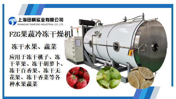 果蔬加工冷冻干燥机整线方案怎么规划更稳妥？