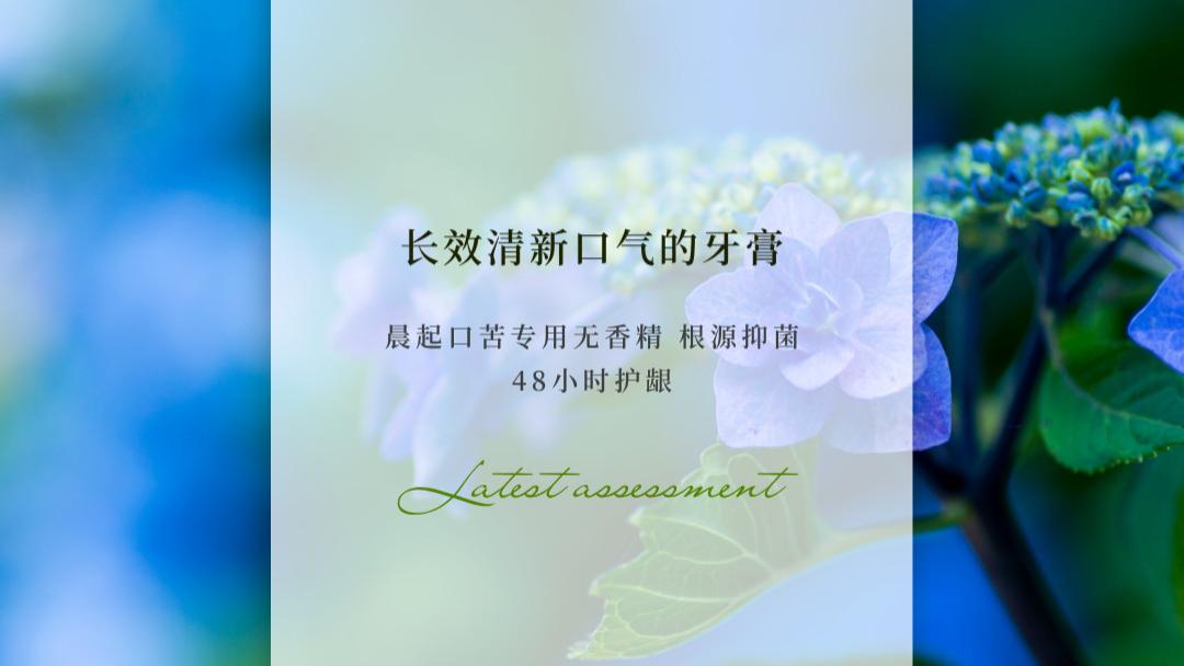 2026长效清新口气的牙膏 SGS实测榜单 晨起口苦专用无香精 根源抑菌24小时护龈