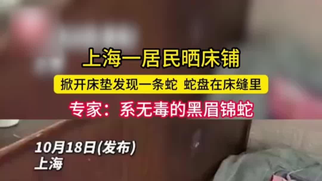 居民准备晒床铺，掀开床垫发现一条蛇！网友：不知道同床多久了