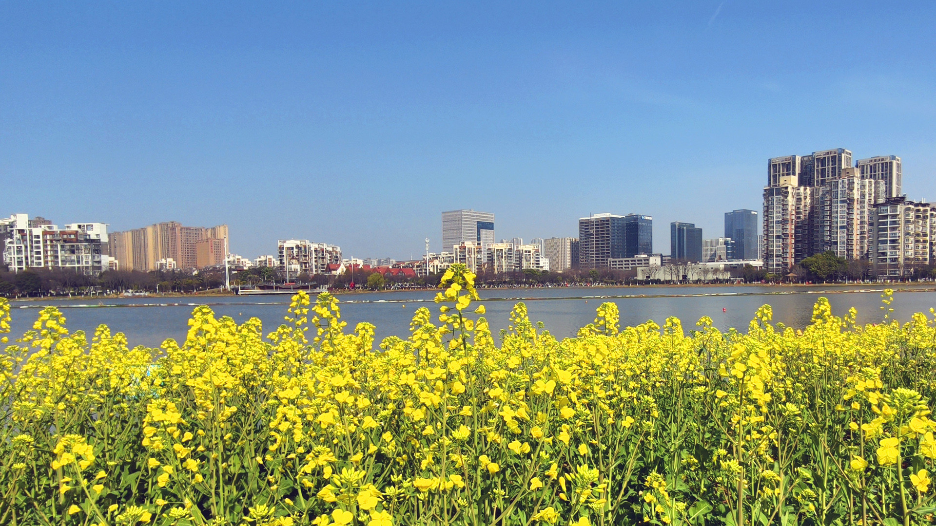 南湖春晓 · 幸福湾公园掠影