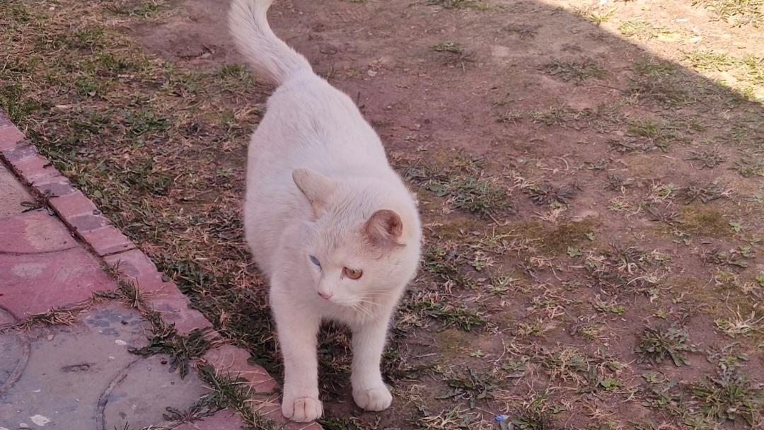 3D094期，天要下雨，一会转晴，天气看不准。盲猜一个659