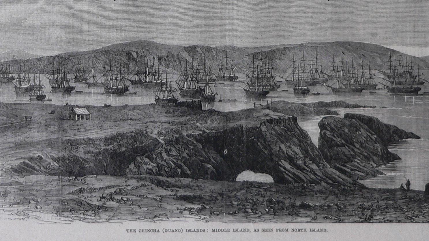 一部奇葩法律《鸟粪岛法》，靠铲屎铲出岛链，成就一个海洋帝国？