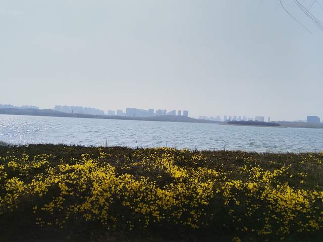 家长不要太担心孩子，也不要对孩子太好，才是助力成长的最好做法